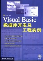 Visual Basic数据库开发及工程实例