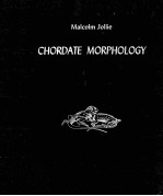 chordate morphology