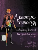 anstomy & physiology laboratory textbook sixth edition