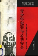 青少年犯罪与公共安全  贵州省青少年犯罪的过去、现在与未来