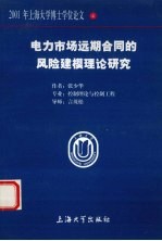 电力市场远期合同的风险建模理论研究