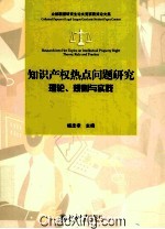 知识产权热点问题研究理论、规则与实践＝Research into hot topics on intellectual property right theory_ rule and practice