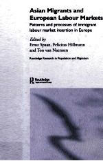 Asian Migrants and European Labour Markets：Patterns and processes of immigrant labour market inserti