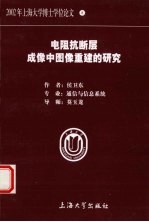 电阻抗断层成像中图像重建的研究