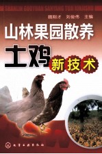 果园山林散养土鸡新技术