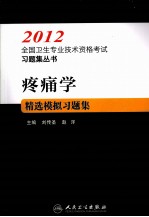 2012全国卫生专业技术资格考试习题集丛书 疼痛学精选模拟习题集