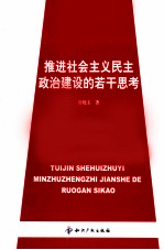 推进社会主义民主政治建设的若干思考