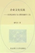 企业文化实践 从理念到行为习惯的操作工具