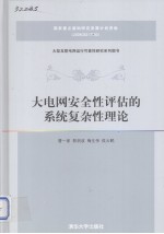 大电网安全性评估的系统复杂性理论