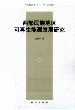 西部民族地区可再生能源发展研究