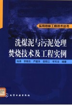 洗煤泥与污泥处理焚烧技术及工程实例