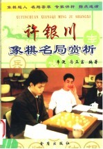 许银川象棋名局赏析