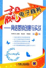 赢在电子商务 网络营销创意与实战