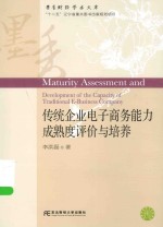 传统企业电子商务能力成熟度评价与培养