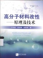 高分子材料改性 原理及技术