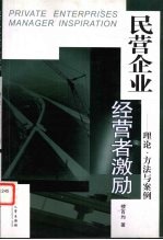 民营企业经营者激励 理论、方法与案例