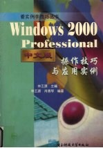 Windows 2000 Professional中文版操作技巧与应用实例