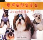 爱犬造型变变变 让你的宝贝漂亮一下