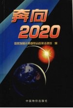 奔向2020