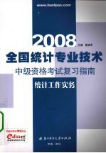 2008全国统计专业技术中级资格考试复习指南 统计工作实务