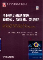 全球电力市场演进  新模式、新挑战、新路径