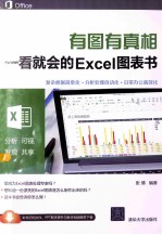 有图有真相 一看就会的Excel图表书