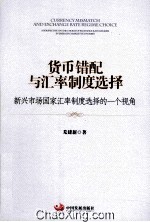 货币错配与汇率制度选择 新兴市场国家汇率制度选择的一个视角