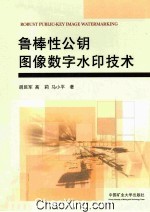 鲁棒性公钥图像数字水印技术