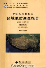 中华人民共和国区域地质调查报告 伯力克幅（I44C001003）