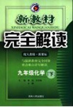 新教材完全解读 化学 九年级 下 人教版