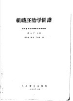 组织胚胎学图谱