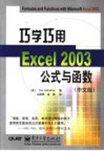 巧学巧用Excel 2003公式与函数 中文版