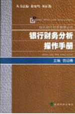 银行财务分析操作手册