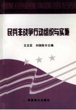 民兵非战争行动组织与实施