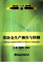 铝冶金生产操作与控制