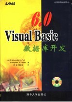 Visual Basic 6.0数据库开发