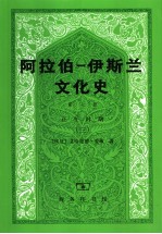 阿拉伯-伊斯兰文化史  第7册  正午时期  3