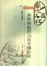 异军突起的山东乡镇企业