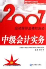 2007应试指导及模拟测试 中级会计实务