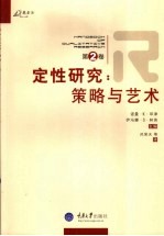 定性研究 第2卷 策略与艺术