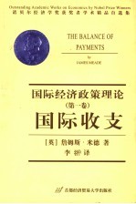 国际经济政策理论 第1卷 国际收支