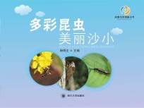 多彩昆虫，美丽沙小