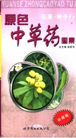 原色中草药图集 花果·种子 2