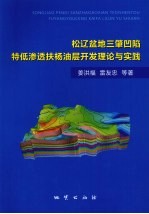 松辽盆地三肇凹陷特低渗透扶杨油层开发理论与实践