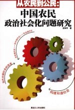 从农民到公民 中国农民政治社会化问题研究