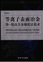 等离子表面冶金铬-钼高合金强化层技术