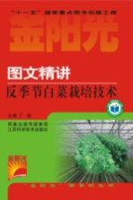 图文精讲反季节白菜栽培技术