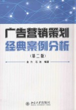 广告营销策划经典案例分析 第2版