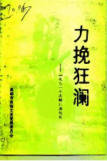 力挽狂澜 -1991年高邮抗洪纪实