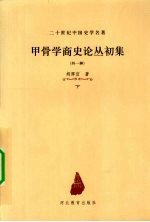 甲骨学商史文化丛初集 外一种 下